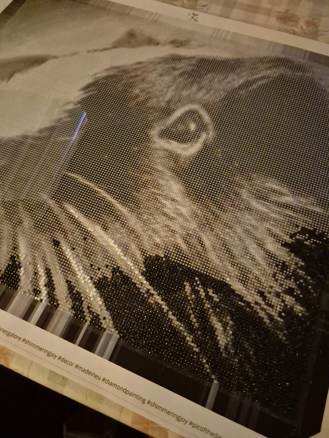 Customer photo review of DIAMOND PAINTING MED DIT EGET FOTO - vores mest solgte størrelser