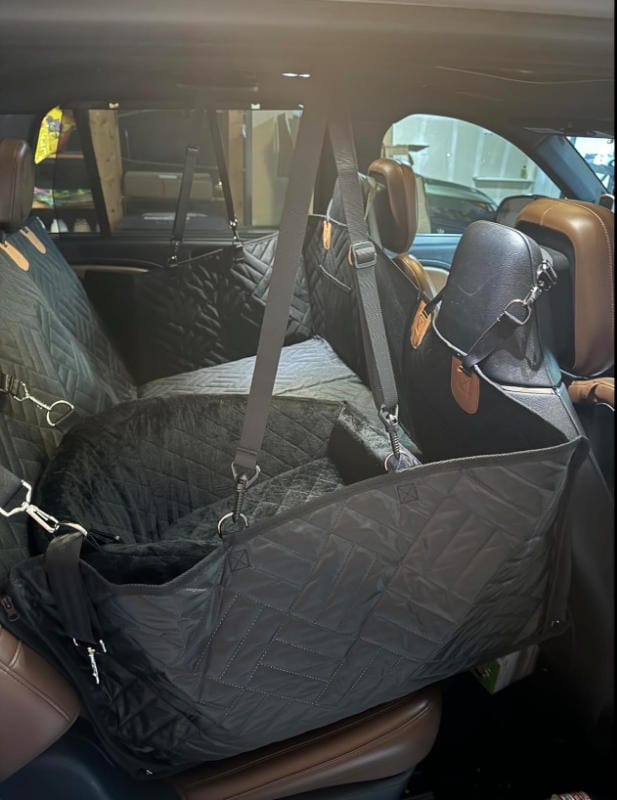 Customer photo review of DoggyKings™ Heavy-Duty Dog Car Seat Cover