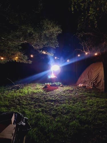 Recensione con foto di un cliente sulle luci a festone a lampadine solari - Lampadine LED tradizionali, nere