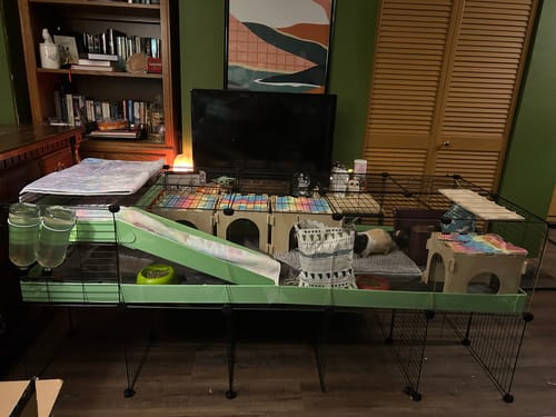 Customer photo review of 5x2 C&C Cage with Loft & Stand