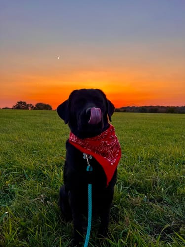 Customer photo review of Daily Multi