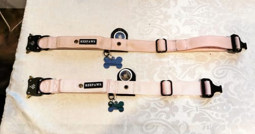Customer photo review of Keepaws™ Tactical AirTag Collar