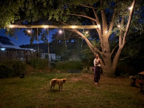 Recensione con foto di un cliente sulle luci a festone a lampadine solari - Lampadine LED tradizionali, nere