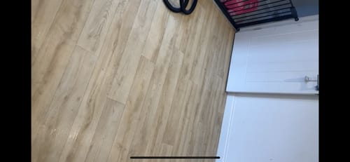 Ehlana G. review of Floor cleaner image 1 out of 1