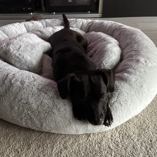 Customer photo review of Shiny Hair