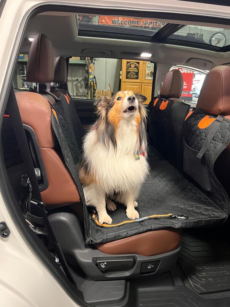 Customer photo review of DoggyKings™ Heavy-Duty Dog Car Seat Cover