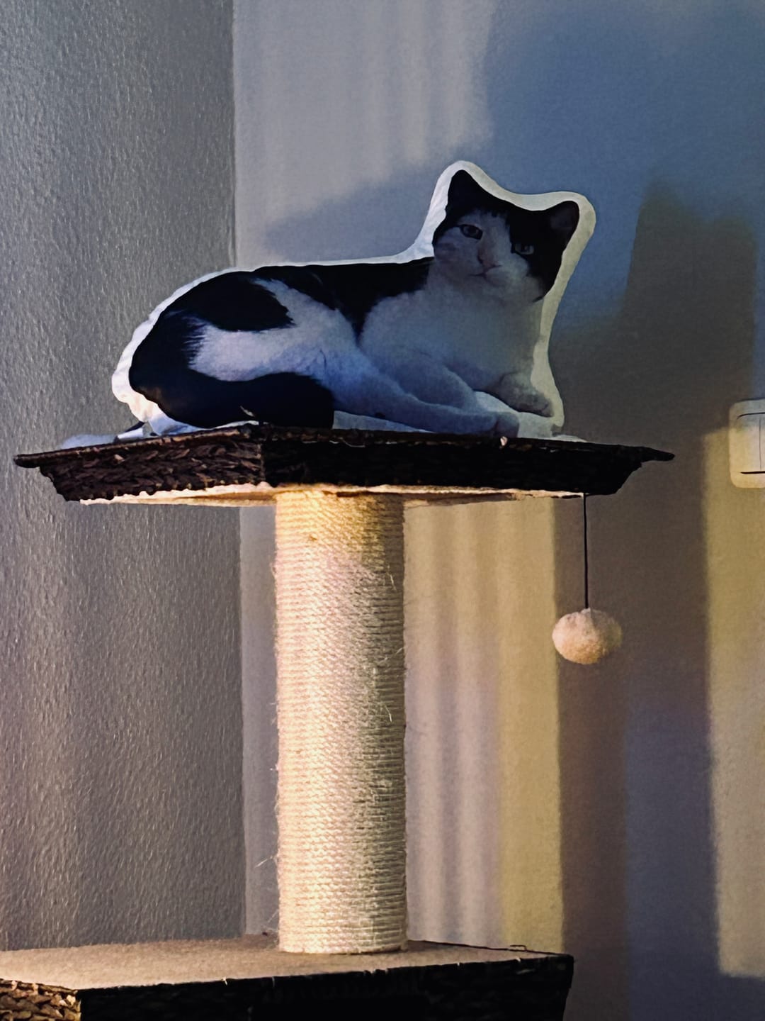 Customer photo review of Personalisiertes Katzenkissen