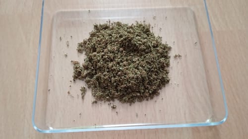 Customer photo review of 🍋 Lemon King - Power LVL 5/5