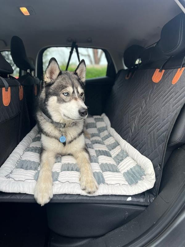 Customer photo review of DoggyKings™ Heavy-Duty Dog Car Seat Cover
