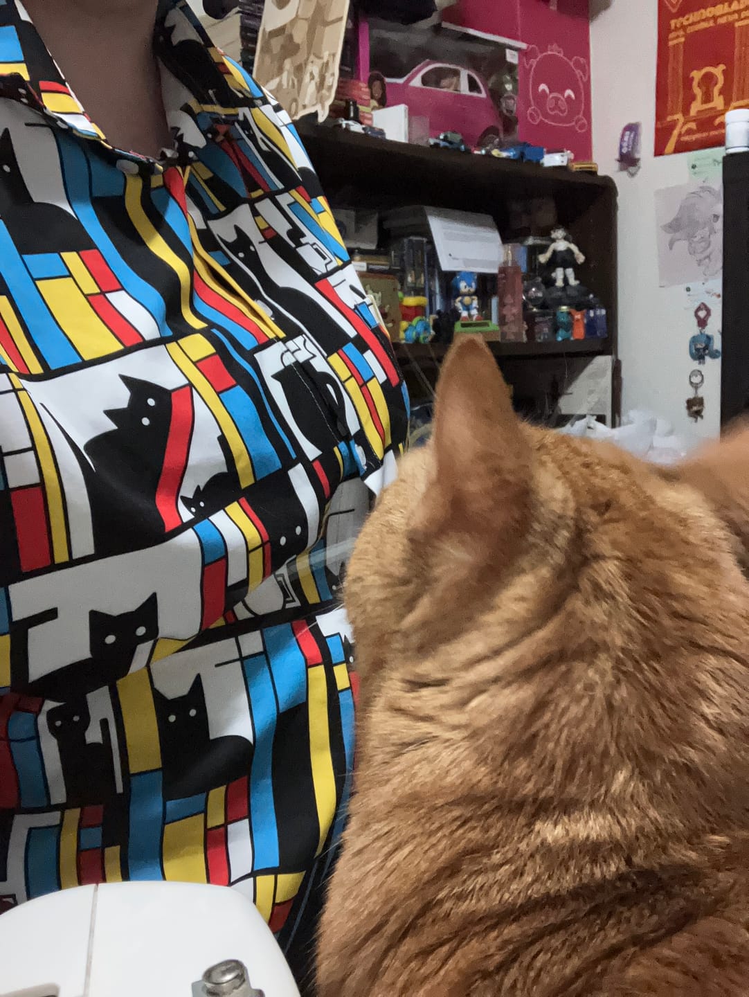 Customer photo review of Mondrian Cat Library Button Up Shirt