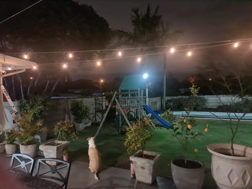 Recensione con foto di un cliente sulle luci a festone a lampadine solari - Lampadine LED tradizionali, nere