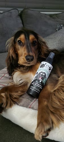 Customer photo review of 2 in 1 Detangler & Leave in Conditioner with Avocado & Coconut for Dogs
