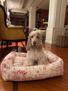 Customer photo review of Divanetto Panama Premium Toile de Jouy Heritage Rosso Classico