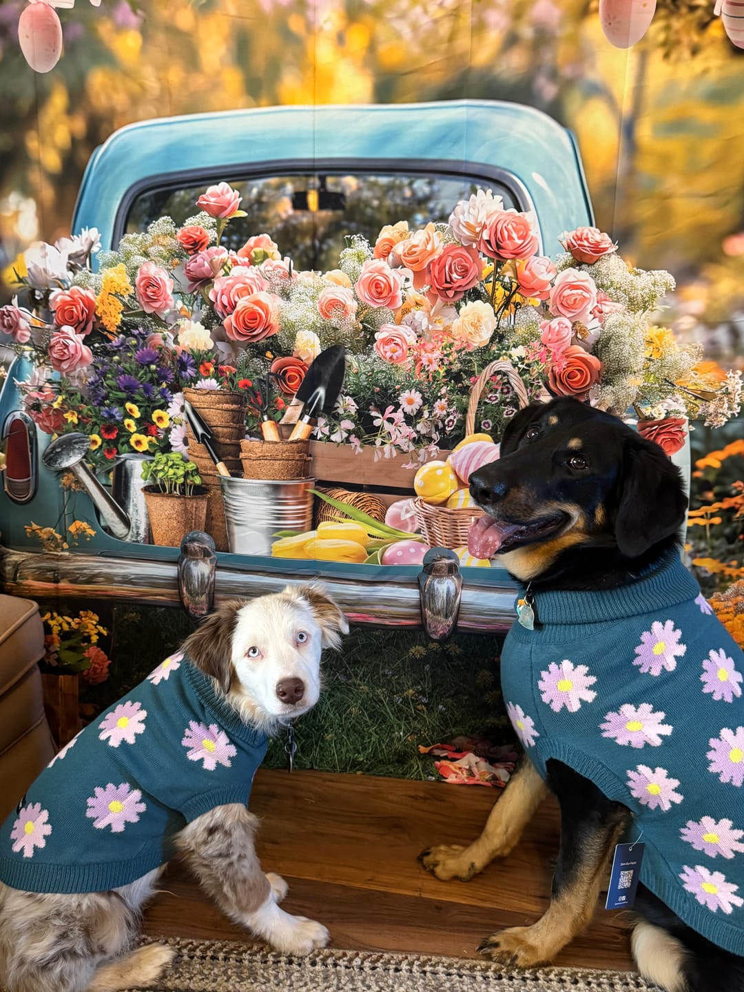 Customer photo review of Flower Knit Dog Sweater