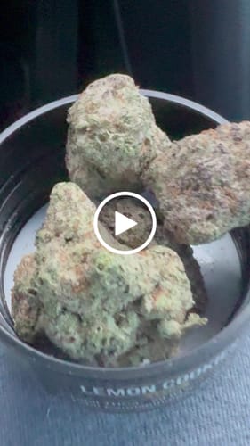 Customer video review of Gold Spectrum THCA Flower (Exotic) - Lemon Cookies