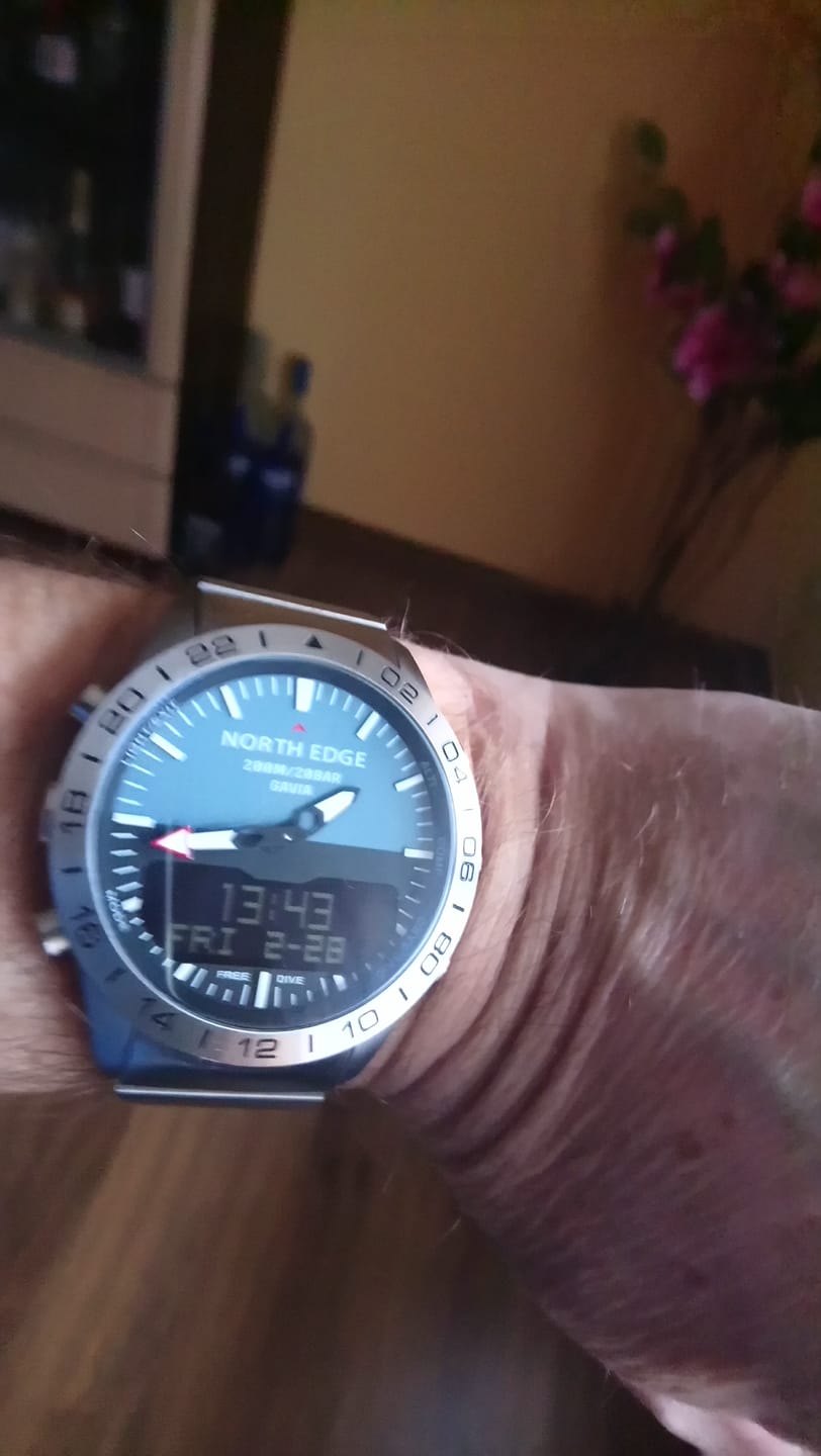Customer photo review of GAVIA 2