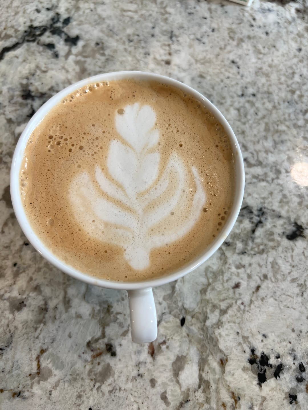 Customer photo review of COSTA RICAN ESPRESSO COFFEE 2LB
