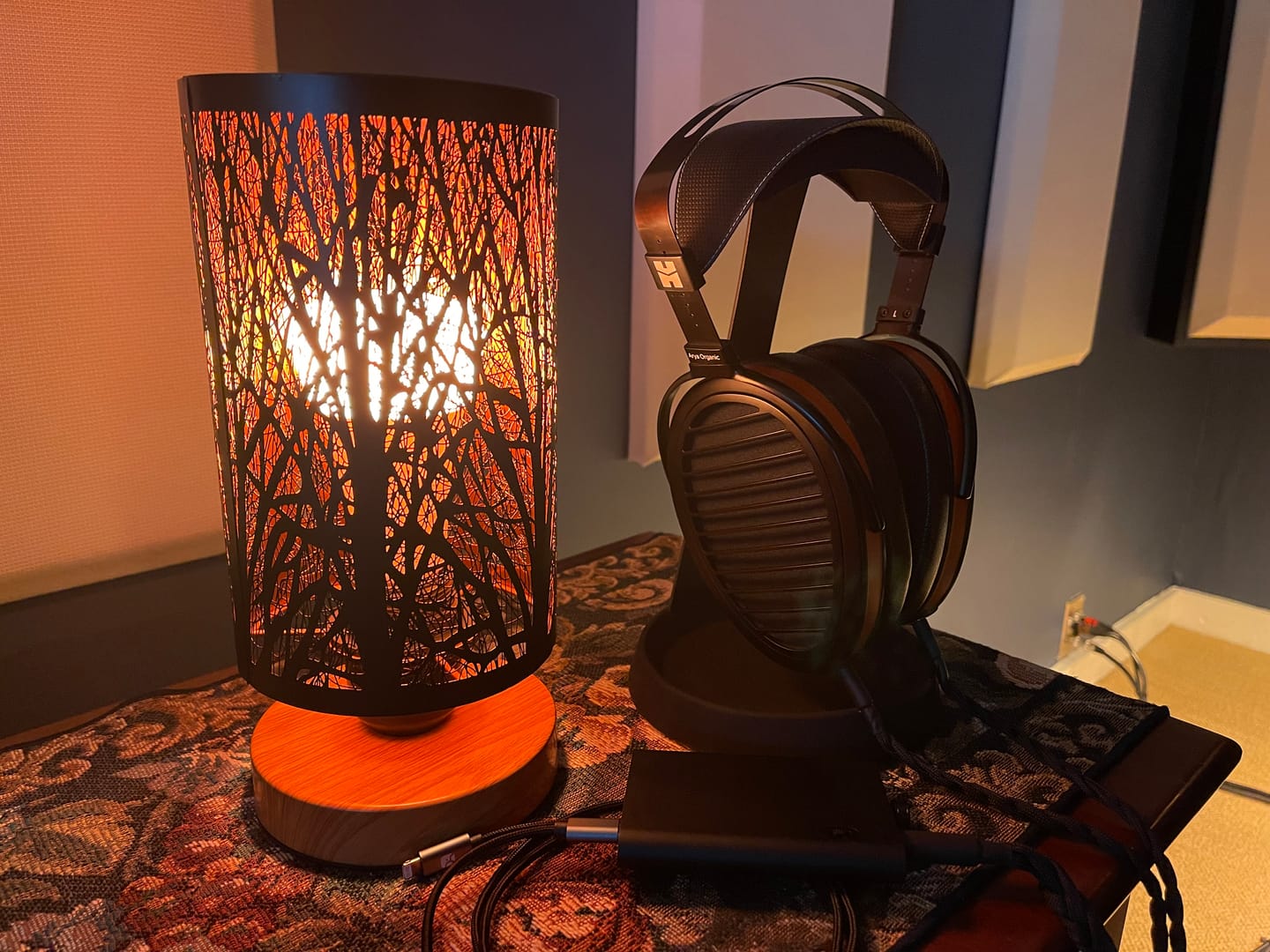 Customer photo review of Hifiman Arya Organic Headphones