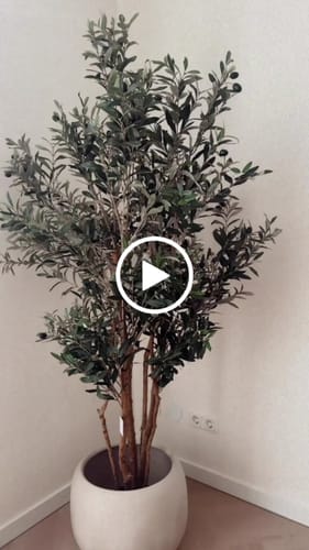 Customer video review of Kunst Olijfboom 180cm