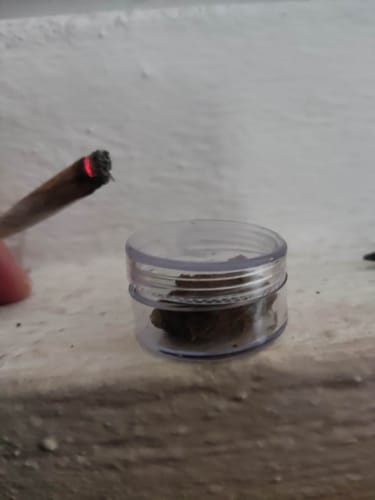 Customer photo review of Hi Bros® -  Lemon Cosmic Clay (Hash)I 20% THCP