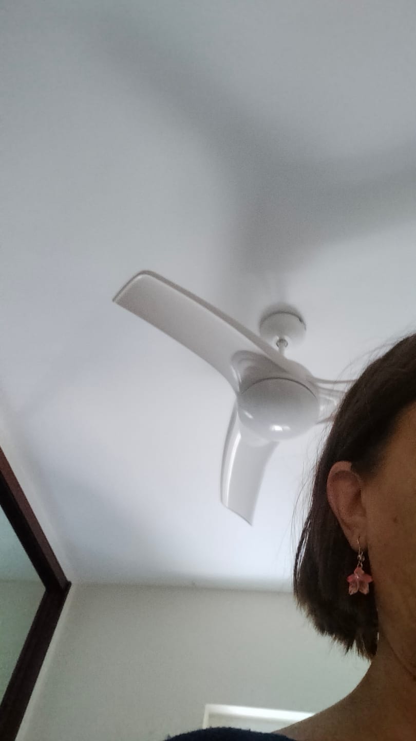 Customer photo review of Pendientes Sakura Origami