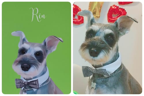 Customer photo review of Petcanvaオーダーメイド ペット似顔絵