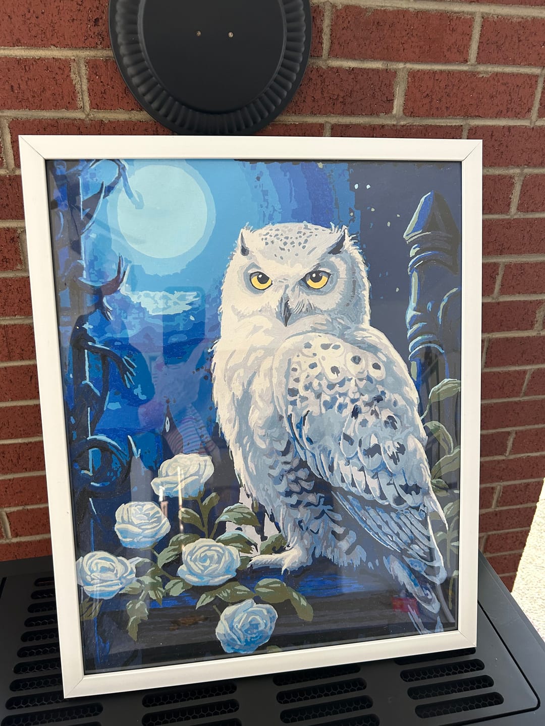 Customer photo review of Snowy Owl