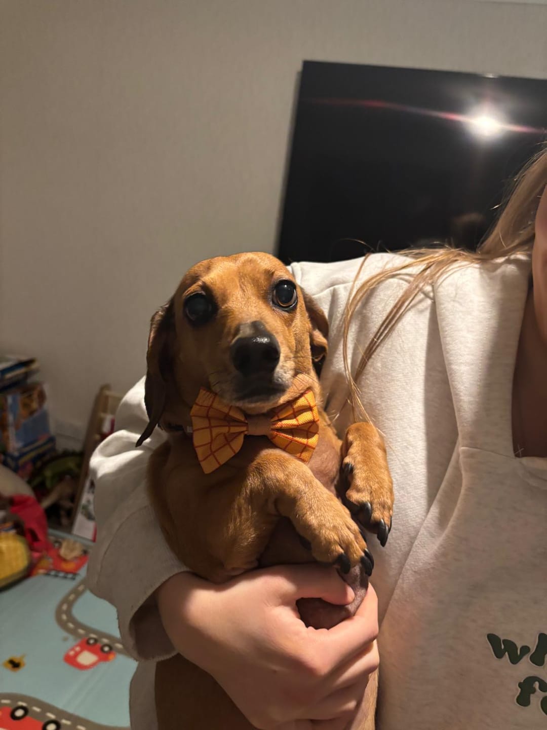 Customer photo review of Disney© Collar - Woody