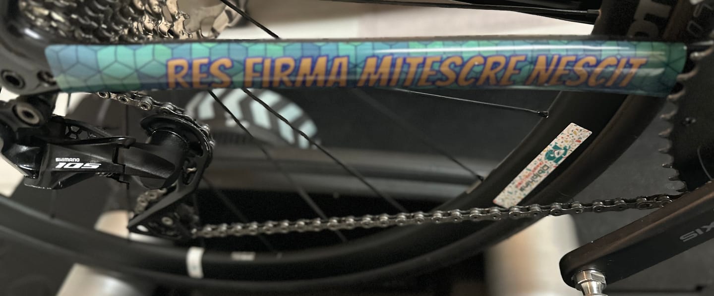 Customer photo review of Custom Frame Keeper