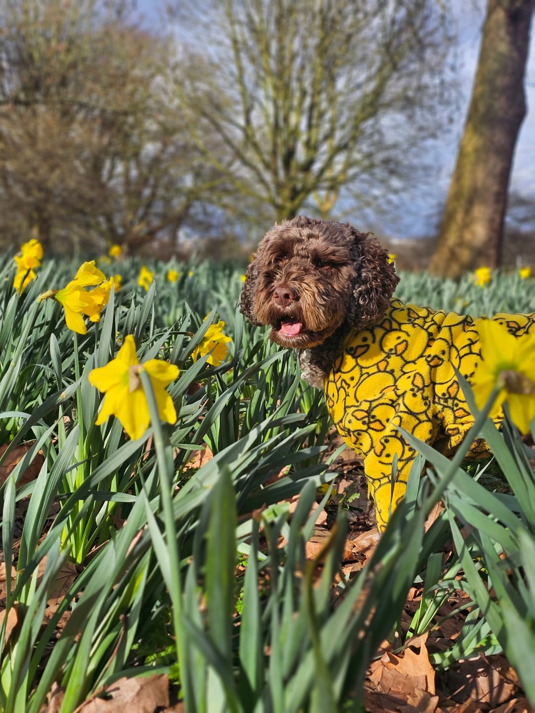 Customer photo review of Yellow Ducks Anti Pill Polar Fleece Fabric
