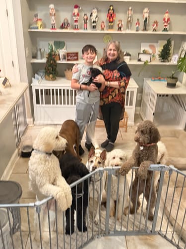 Customer photo review of FurLife™ 12 Months Flea and Tick Free