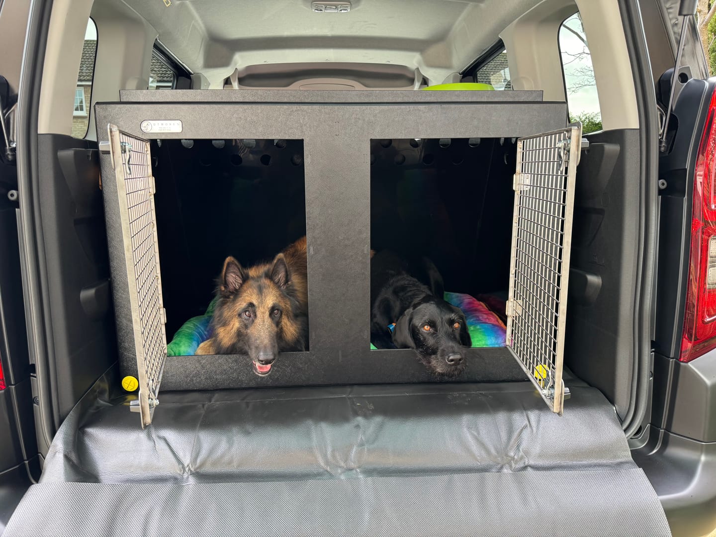 Customer photo review of Citroen e-Berlingo/ Peugeot e-Rifter | 2018–present | Dog Travel Crate | The DT 12