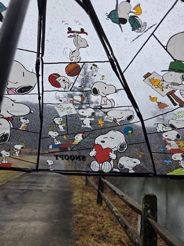 Customer photo review of Peanuts Snoopy Transparent Umbrella
