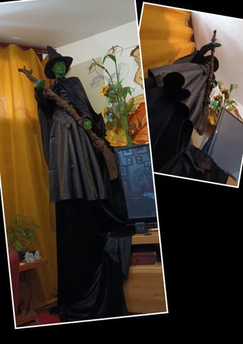 Customer photo review of Elphaba Wicked Kostüm Hexe Cosplay Outfits
