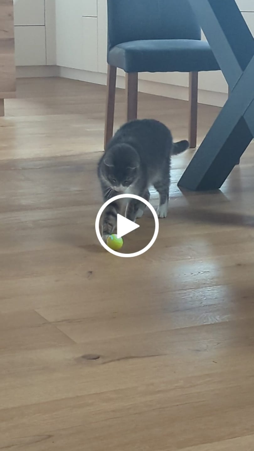 Customer video review of Power Ball 3