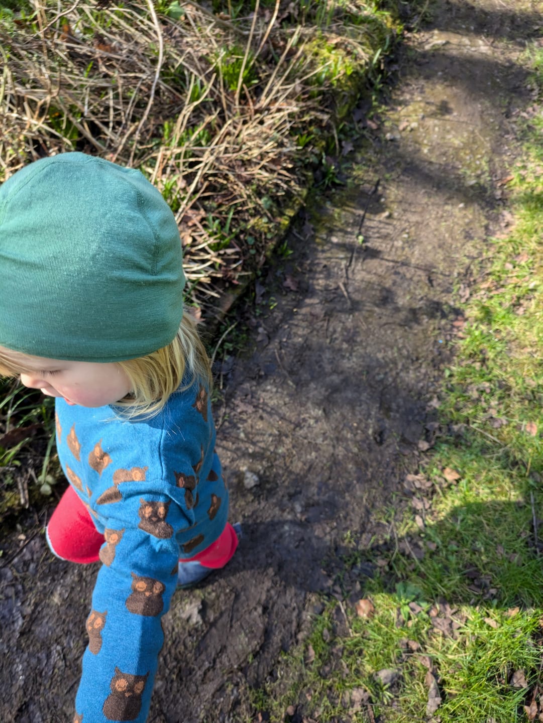 Customer photo review of From One To Another Owl Knitted Jumper
