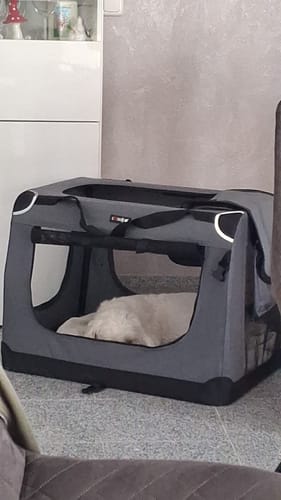 Customer photo review of Relax Time