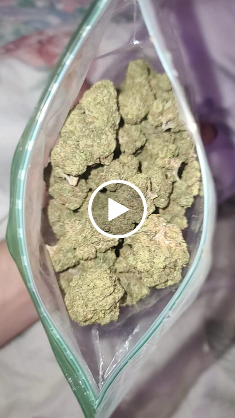 Customer video review of THCa Indoor Smalls