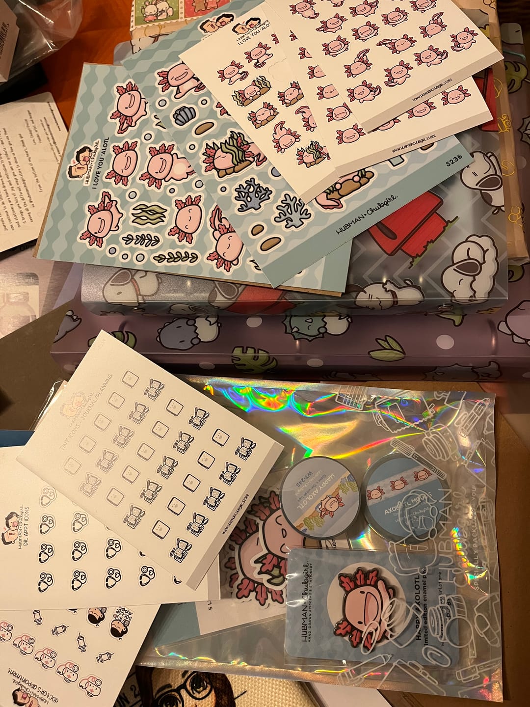 Customer photo review of Dr. Appointment Icons Planner Stickers