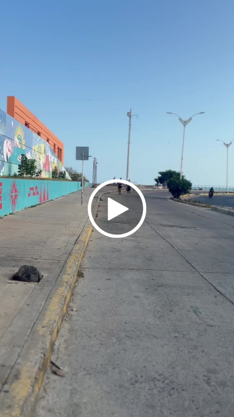 Customer video review of 2XU Visera Performance Elastico Negra