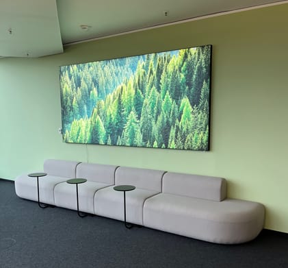 Customer photo review of Canvalight® Leuchtbild | Der Wald | Querformat