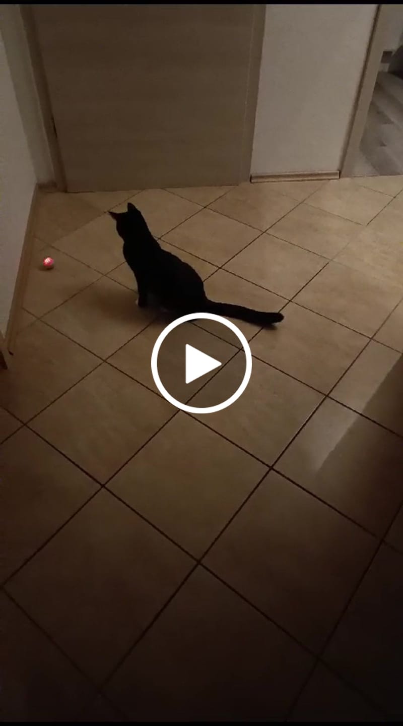 Customer video review of POWER BALL 2.0