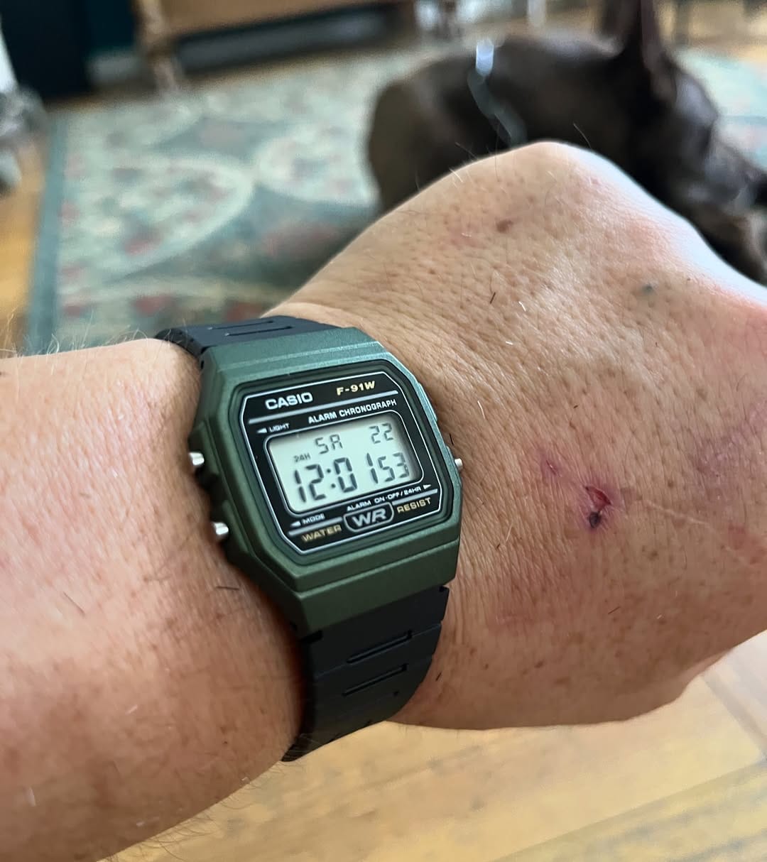 Customer photo review of Reloj Casio Vintage F-91WM-3ADF Verde/Negro