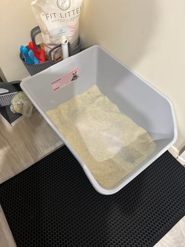 Customer photo review of 1 Month Supply – 1 Cat