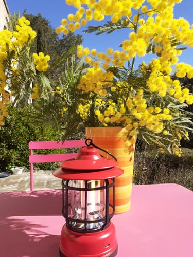 Customer photo review of Lydi™ - Lampe Retro SMART Portable