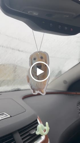 Customer video review of Custom Shape Air Freshener