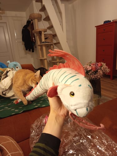 Customer photo review of Oarfish Soft Stuffed Plush Toy