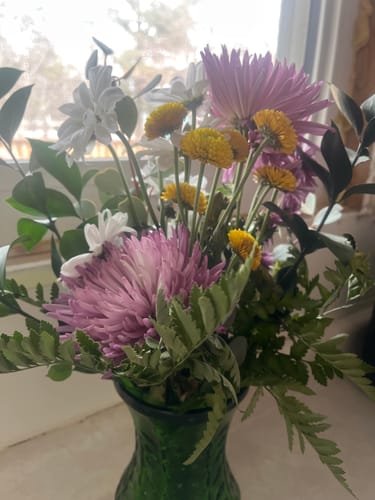 Customer photo review of Bethany's Garden