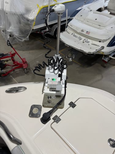Customer photo review of Sea Swivel