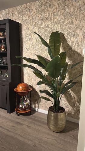 Customer photo review of Strelitzia Kunstplant 180cm Deluxe